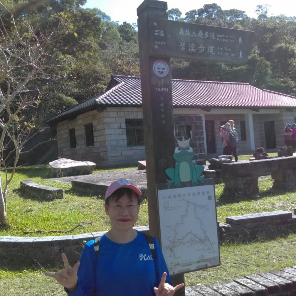 【臺北親山拓印趣】林蔭青蔥的大崙頭尾山738358