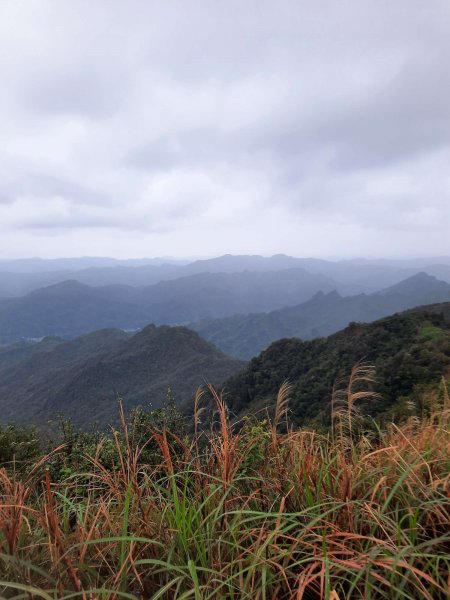 20230226 基隆姜子寮山（小百岳）2044668