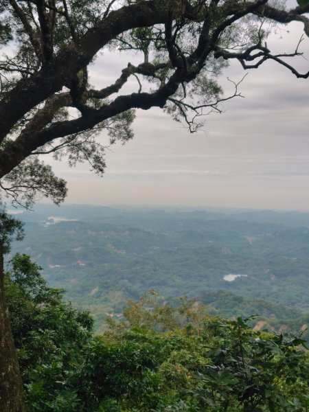 大棟山系南段 水利古道西口 上 竹高崙山 連走 鳥子嶺 坑仔內山 大崖山 下 龍目井農場2953167