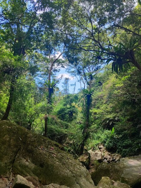 礁溪車站-跑馬古道-迴音谷瀑布-鵲子山2826642