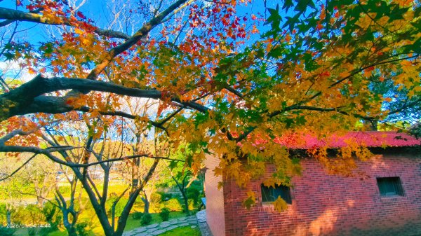 #花卉試驗中心 #永公路500巷 #平菁街42巷 #原住民公園 #士林官邸 1/42976624