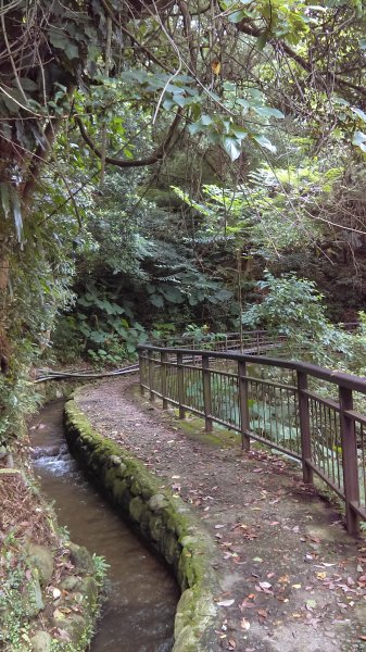 流水潺淙的十八挖水圳步道(拐圳步道)