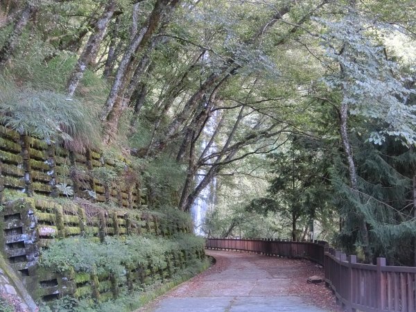 桃山瀑布步道．武陵415402