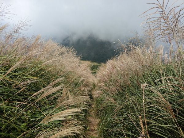 《百大必訪步道》大屯群峰步道(大屯主、南、西峰連走)1474556