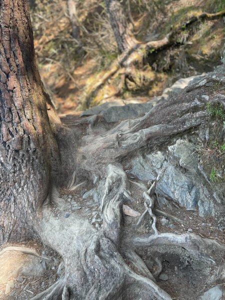 【健人HIKERS】兩天一夜玉山主峰、玉山西峰2769118