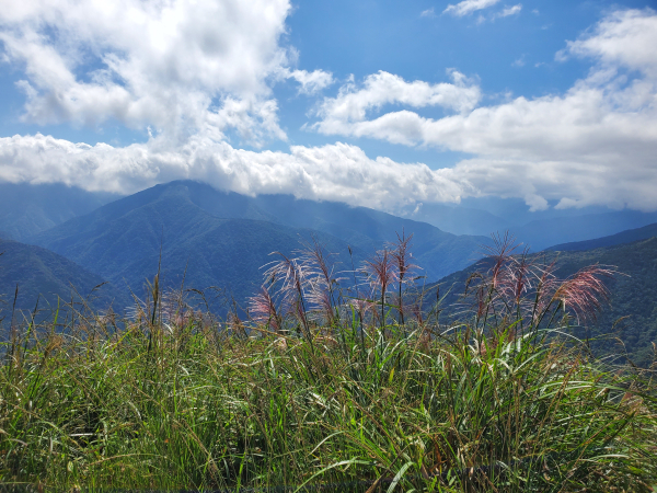 烏來三山（拔刀爾山，高腰山，美鹿山）+小巫山