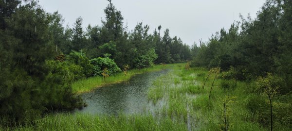 台東．森林公園202508013019161