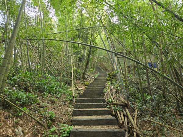 雲嘉六連峰（小百岳）2928004