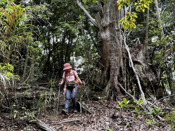 白毛山O繞+臭頭山 202505172791745