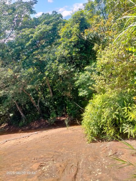 白石湖+打鐵寮古道2824165