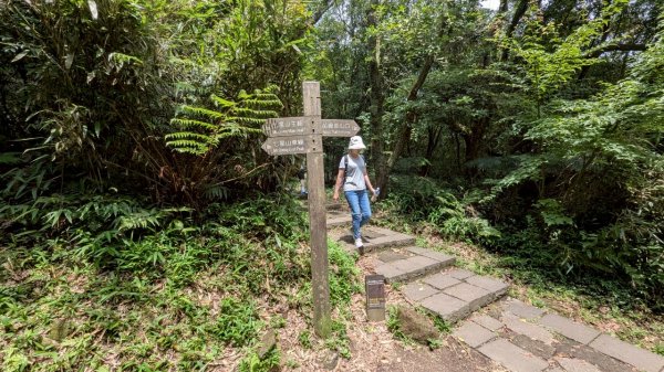 114.07.13三進三出七星山之旅2837157