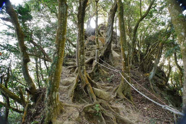 苗栗 獅潭 仙山、大窩山2984286