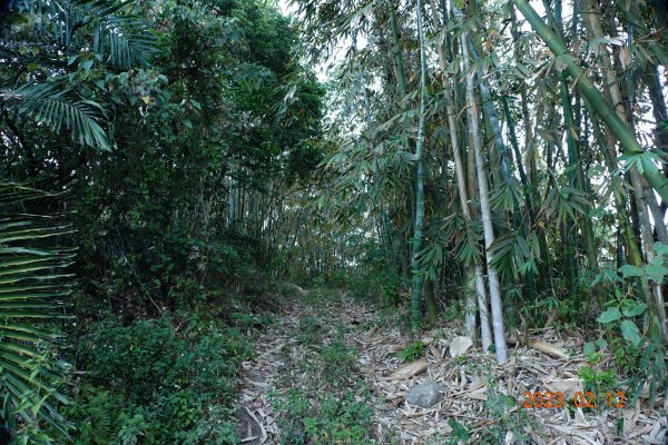 高雄 那瑪夏 頂河表湖山(河表湖山、霍比亞湖山)2032159