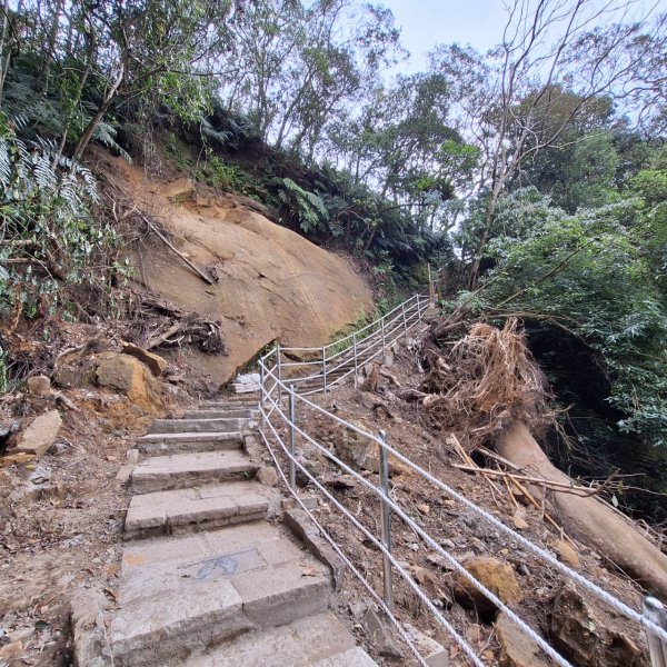 【貓貓自創路線】四獸山+南港山+九五峰+永春坡公園完成!2705820