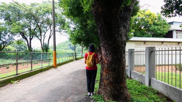 茶山步道,鎮南橋,鴉片菸潭,通學古道2602612