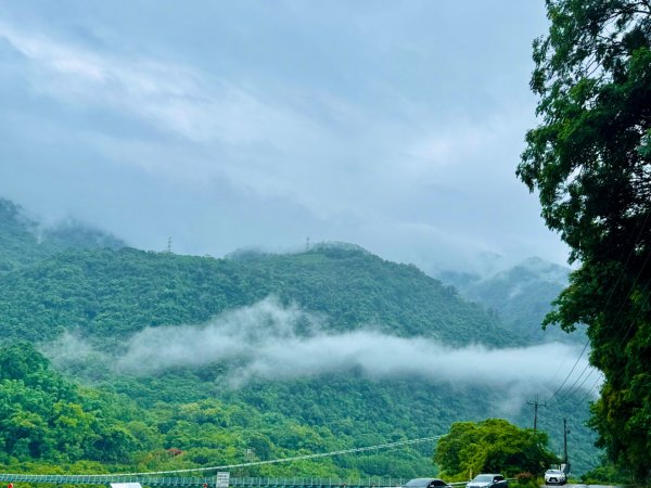 雨下的白毛山步道與白鹿吊橋2805311