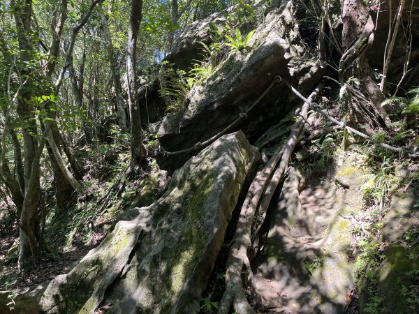 [微笑山線_第九段] 2025_0914 二格山系_天王峰2889539