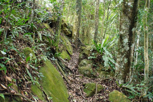 新竹 關西 福大山、彩和山、高甫山2988281