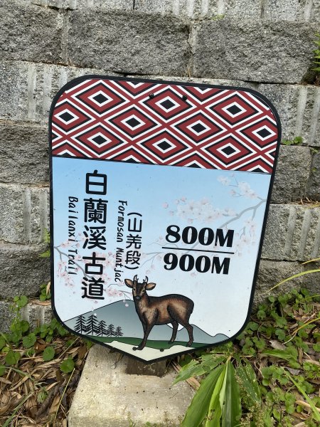 20250705-Ep.02白蘭溪古道-2025森遊竹縣皮皮獅探險隊2851384