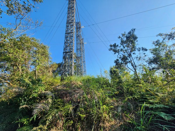 20250323慈湖草嶺山 ~ 五寮尖2781014