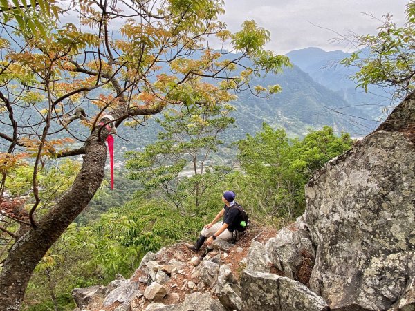 東卯山 東南稜 攀岩賞花趣1356042