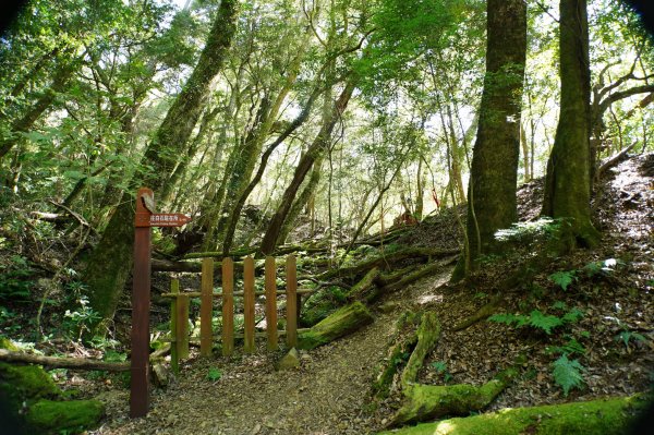 新竹 五峰 西高橋山、霞喀羅大山2959325