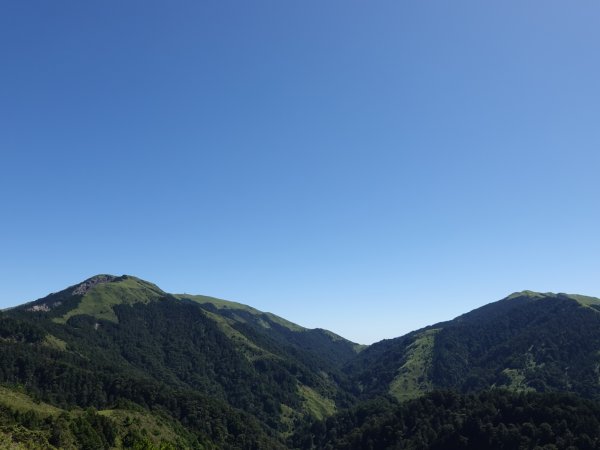 阿興阿賢合歡溪步道上合歡西峰1491229