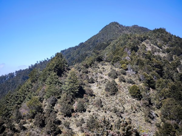 2026-02-09 庫哈諾辛山2998978