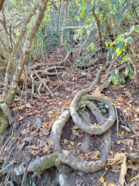 雪見駐在所+雪見山202512252971671