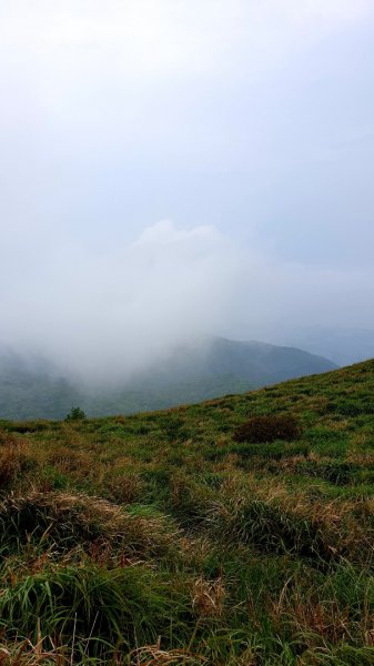 大屯山連峰步道（大屯主，南，西峰連走）926840