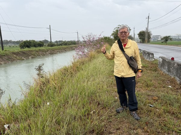 [山海圳_大圳之路_第一段] 2026_0228 茄拔天后宮_南湖口_烏山頭水庫