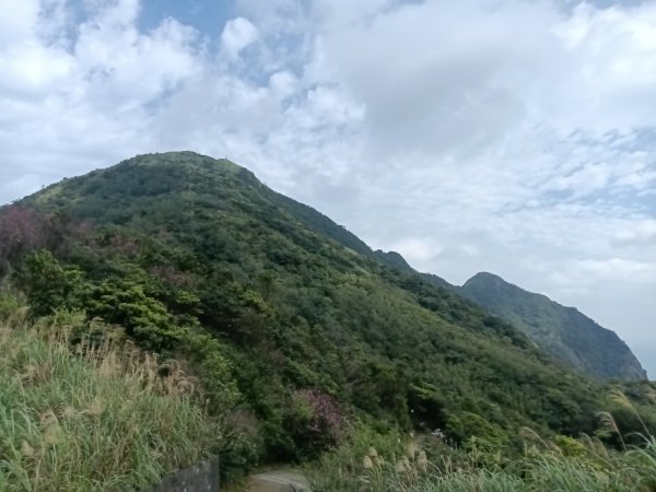 瑞芳區基隆山步道O型3010152