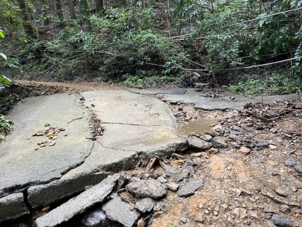 [屏步青雲 尋寶任務-08/10] 2024_1006 棚集山步道2617039