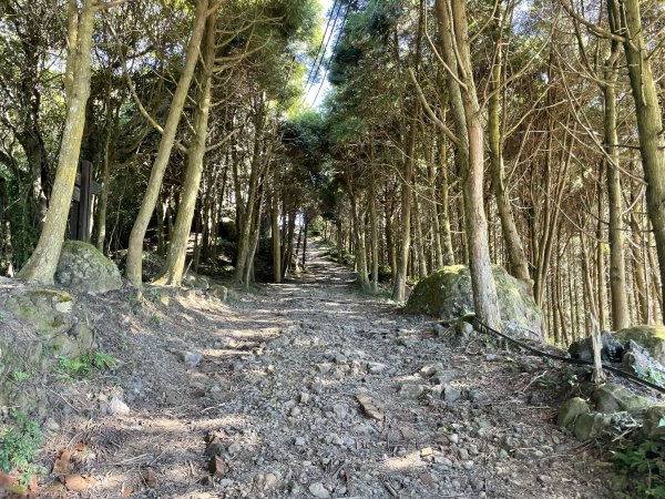 小百岳編號30-五指山112.11.04(原路折返)2336926