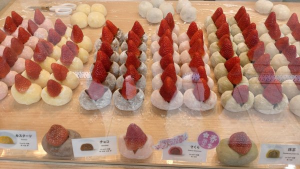 20250316日本旅遊自由行旅拍2783041