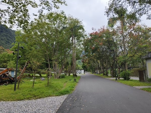 [漫遊縱谷 愛在花東-08/10] 2025_1012 林田山林業文化園區步道2913510
