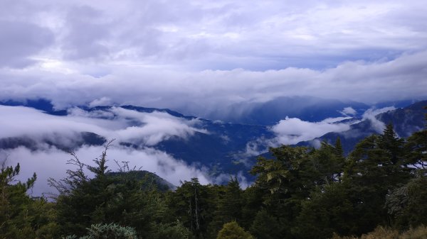 武陵四秀成兩袖(一秀加一宿)1142491