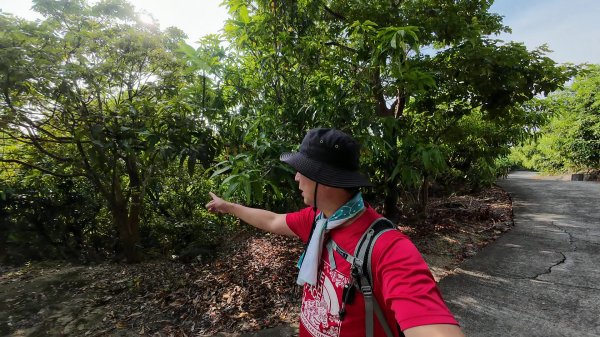 高雄 小崗山2927231