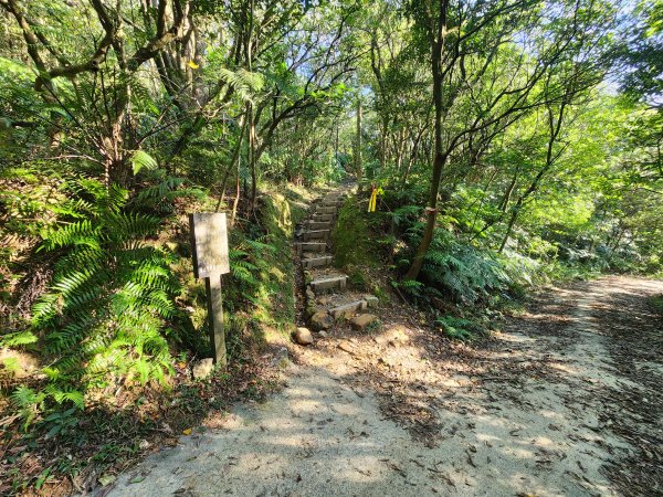 20260110大湖公園捷運站至擎天崗2993201