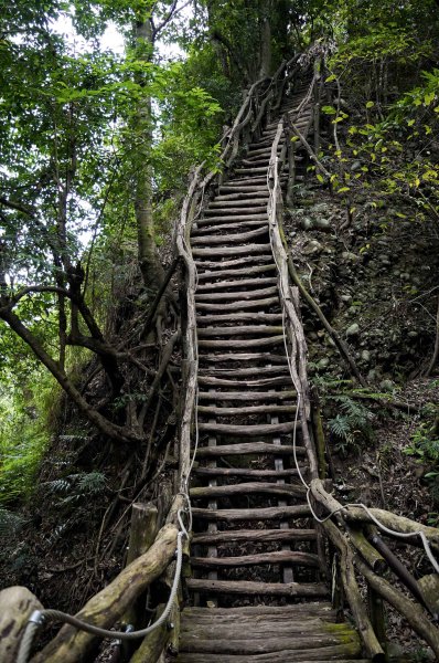 大坑1號步道2865255