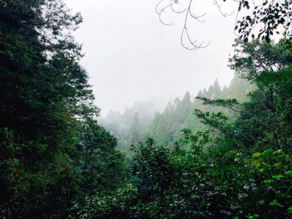 一路風景變化的美麗特富野古道557408