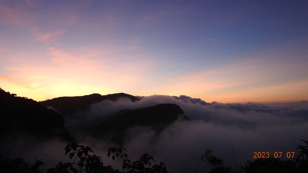 新店四十份/翡翠水庫壩頂月光/晨曦/日出雲海&石碇二格山雲海 7/7 & 13孓遺植物 #雙扇蕨2207741