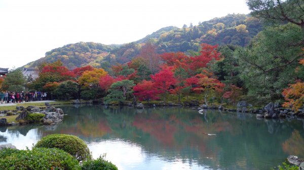 日本京都嵐山652029
