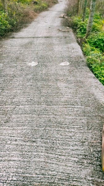 石硦林場、桶頭山O形3052347