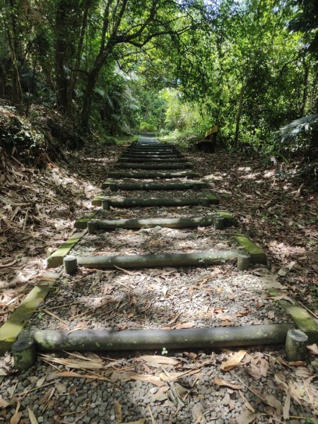 香路古道(巡護中路徑不明顯)暫時不要去2529782