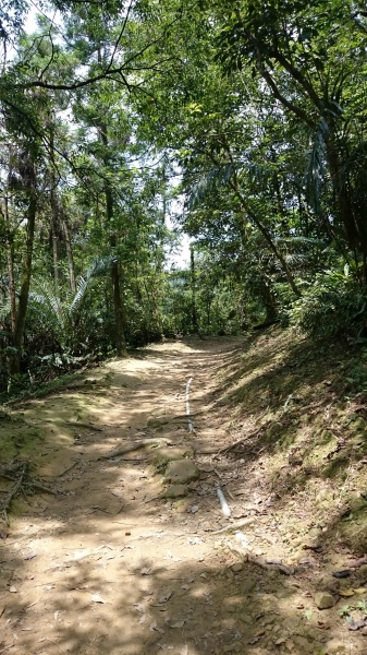 三貂嶺瀑布步道44674