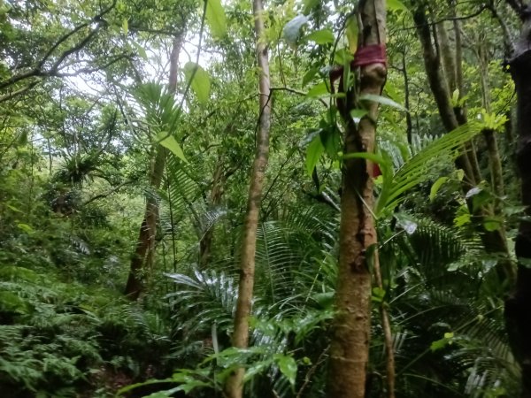 平溪區平溪子山遇雷雨O型2850160