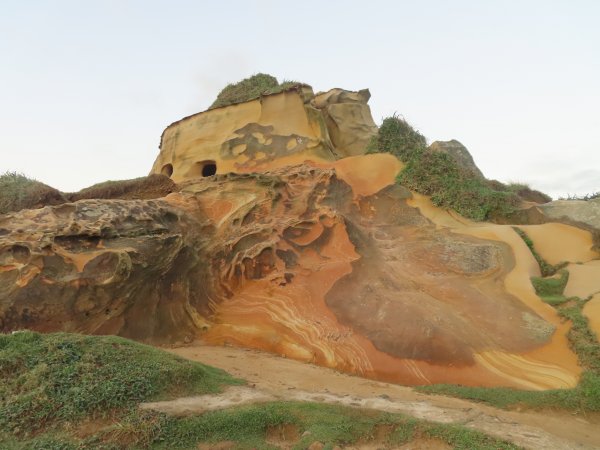 野柳山_駱駝峰稜線_維納斯海岸踏風健走2362523