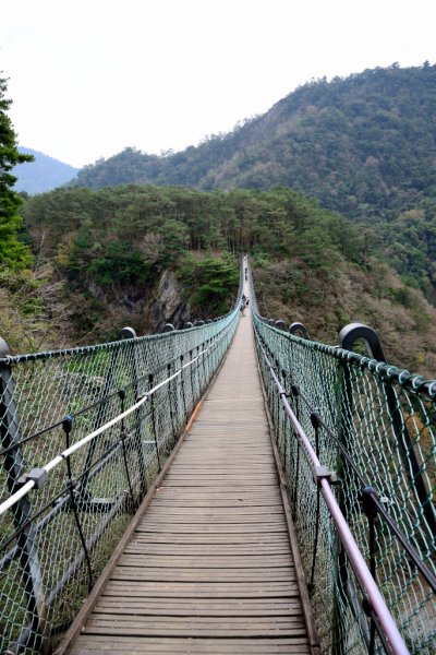 奧萬大國家森林遊樂區步道群545592