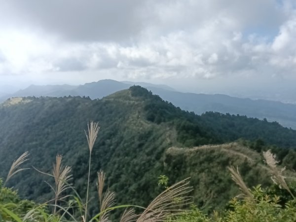 基隆市暖東舊道+頂子寮山+五分山步道(五分山)去回2946188